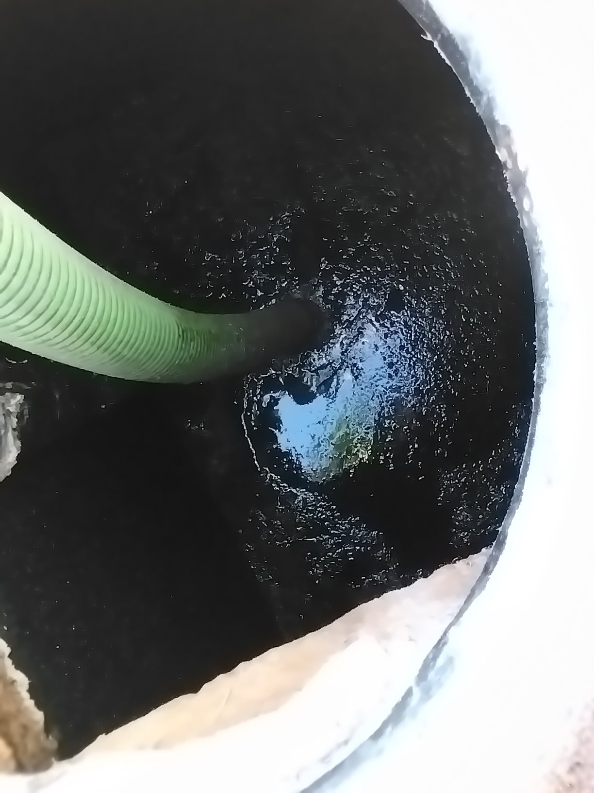 A green corrugated hose extends into dark, muddy water in a round container, with a bright blue-sky reflection shimmering on the surface.