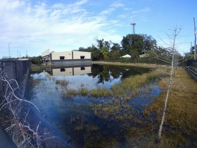 Pond Restoration Services